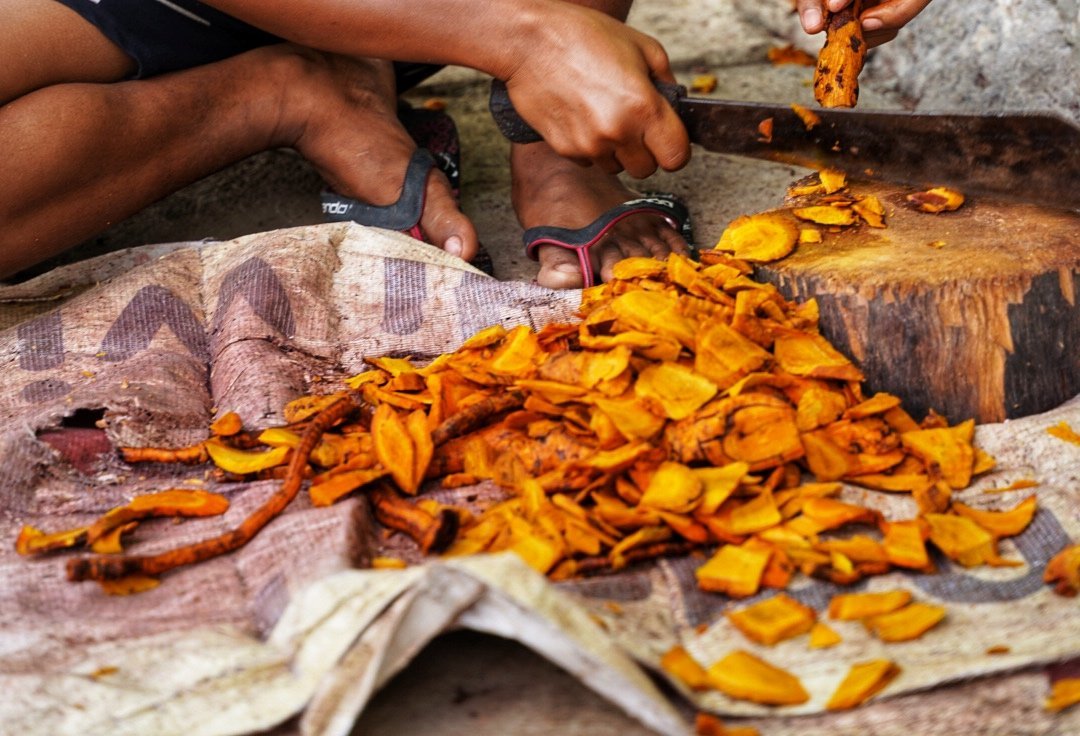 Preparing turmeric for natural dye